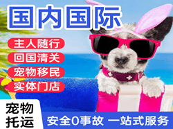 天水麦积山航空托运国际宠物托运 【国